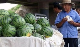 青田网红吃瓜事件,揭秘网络舆论的风云变幻